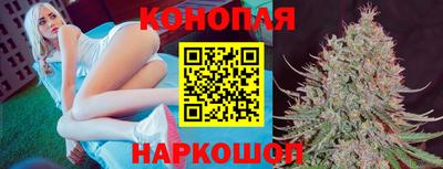 молекула духа Коммунар